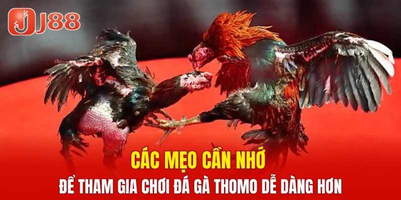Xổ Số Nhanh Keno - Cập Nhật Thông Tin Cược Chi Tiết 7 Các mẹo cần nhớ để tham gia chơi đá gà thomo dễ dàng hơn