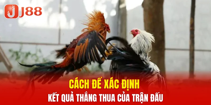 Xổ Số Nhanh Keno - Cập Nhật Thông Tin Cược Chi Tiết 6 Cách để xác định kết quả thắng thua của trận đấu