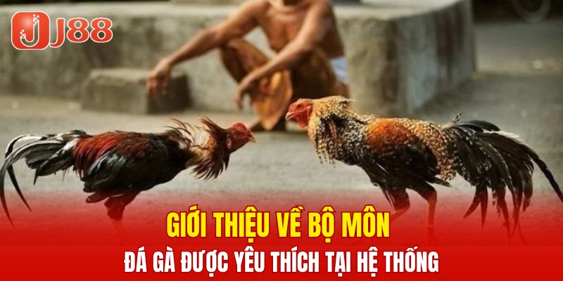 Xổ Số Nhanh Keno - Cập Nhật Thông Tin Cược Chi Tiết 5 Giới thiệu về bộ môn đá gà được yêu thích tại hệ thống