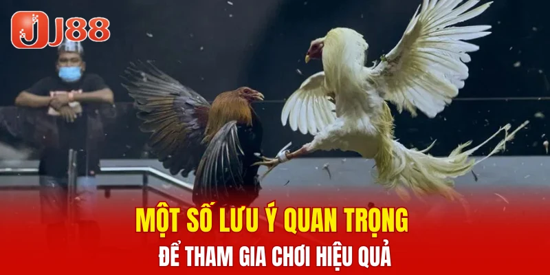 Một số lưu ý quan trọng để tham gia chơi hiệu quả