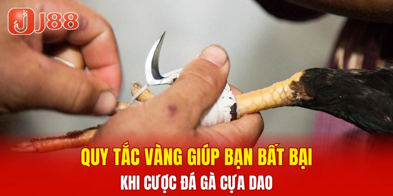 Xổ Số Nhanh Keno - Cập Nhật Thông Tin Cược Chi Tiết 6 Quy tắc vàng giúp bạn bất bại khi cược đá gà cựa dao