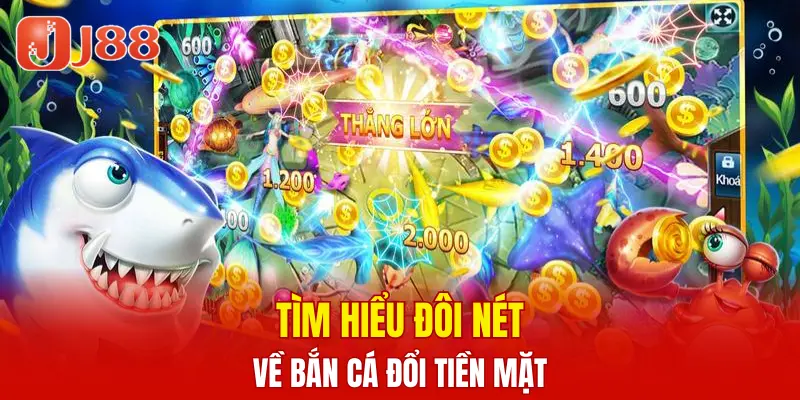 Xổ Số Kiến Thiết 3 Miền - Cách Chọn Số Uy Tín 2025 5 Tìm hiểu đôi nét về bắn cá đổi tiền mặt